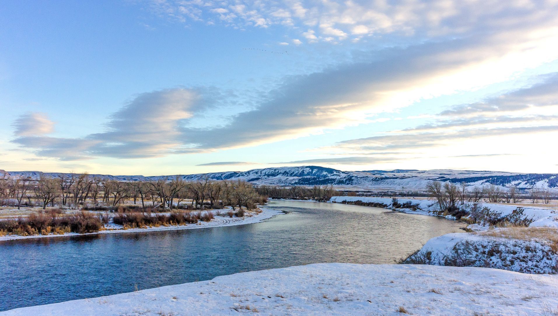 Winter view